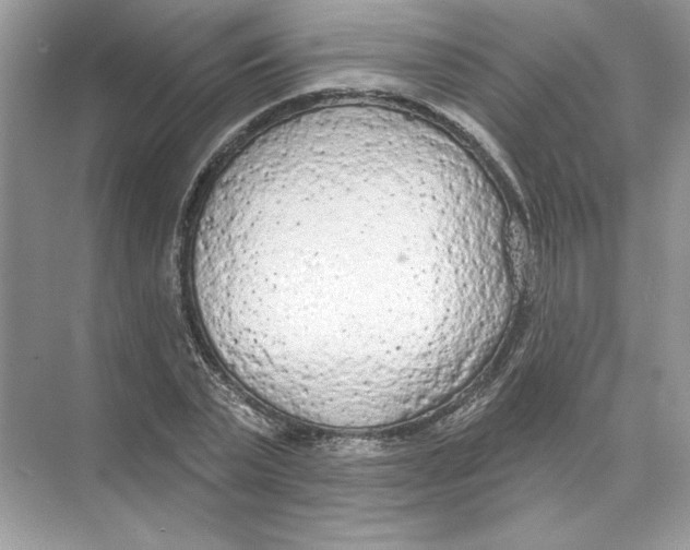 X0000074300783200609222334