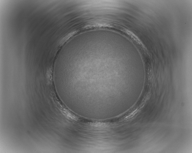 X0000074300785200609222334