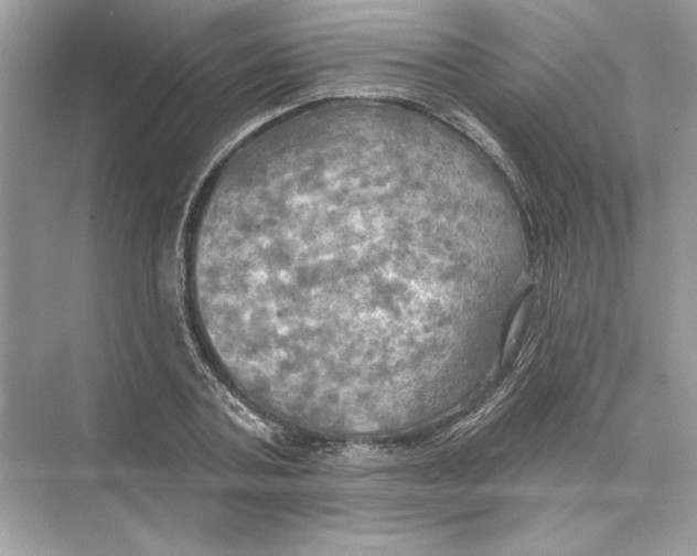 X0000074300787200609222334