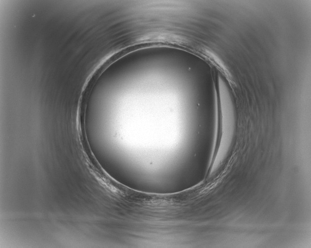 X0000074300788200609222334