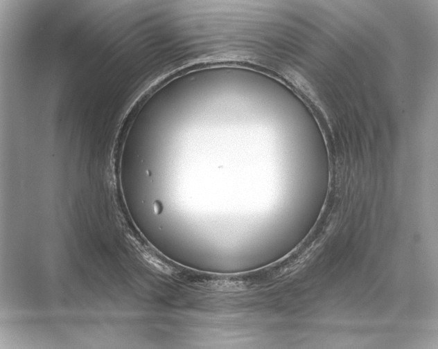 X0000074300789200609222334