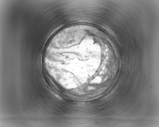 X0000074300790200609222333