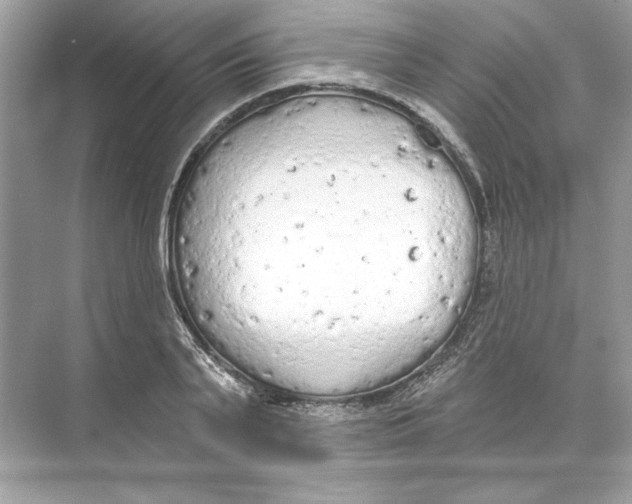 X0000074300791200609222333