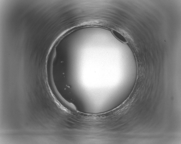 X0000074300792200609222333