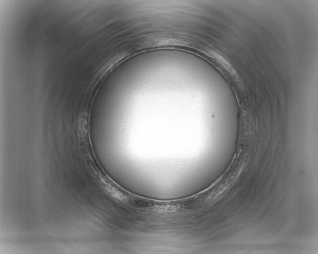 X0000074300793200609222333