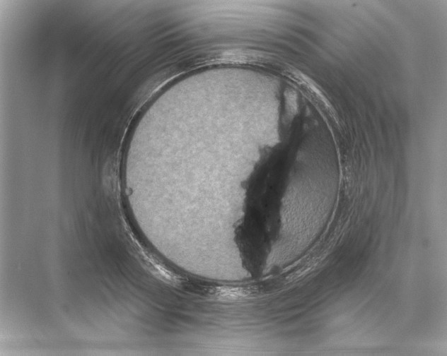 X0000074300794200609222333