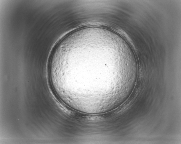 X0000074300795200609222333