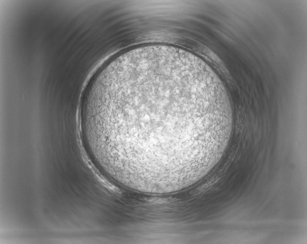 X0000074300796200609222333