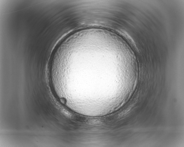 X0000074300798200609222333