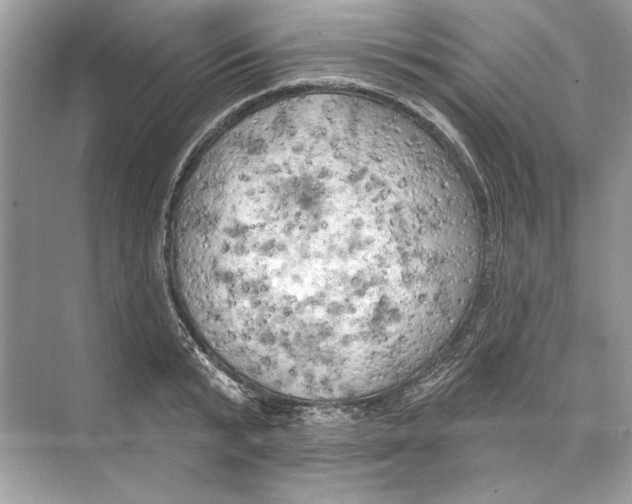 X0000074300799200609222333