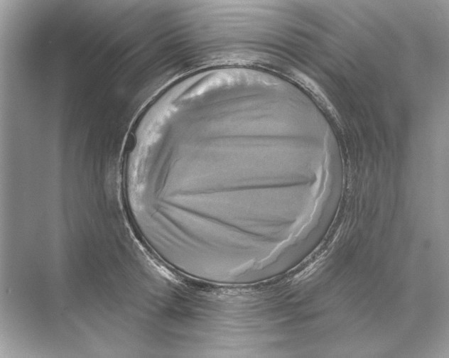 X0000074300802200609222333