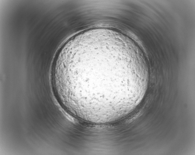 X0000074300803200609222333