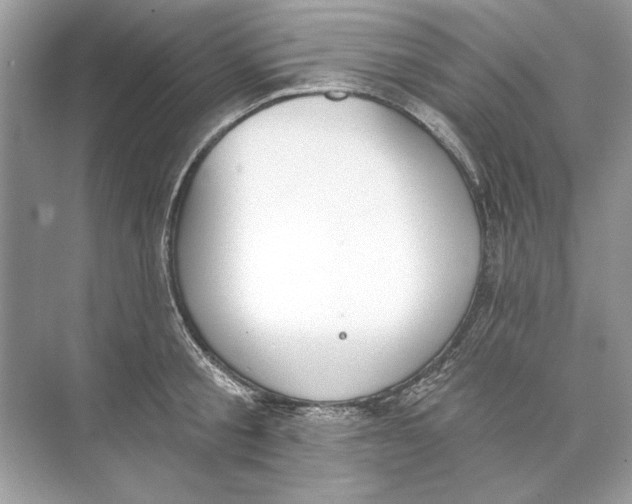 X0000074300805200609222333