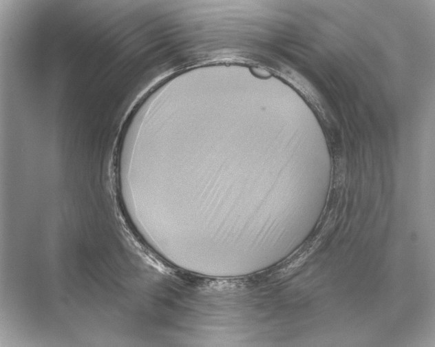 X0000074300806200609222333