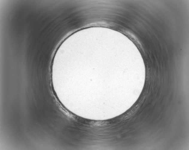 X0000074300808200609222333