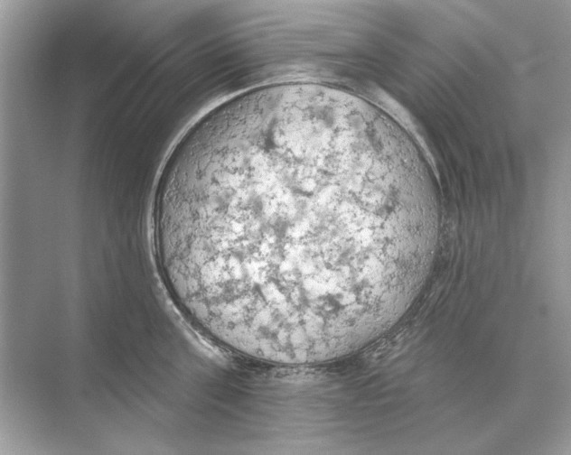 X0000074300811200609222333