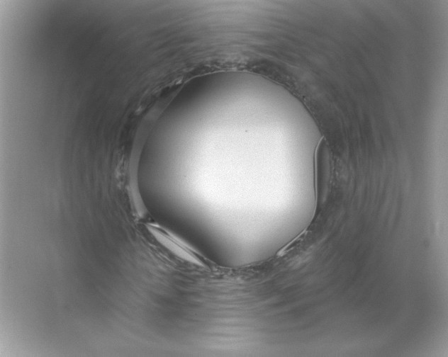 X0000074300818200609222332