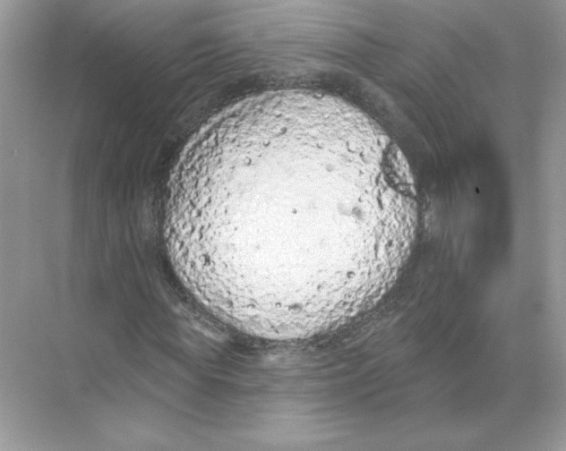 X0000074300819200609222332