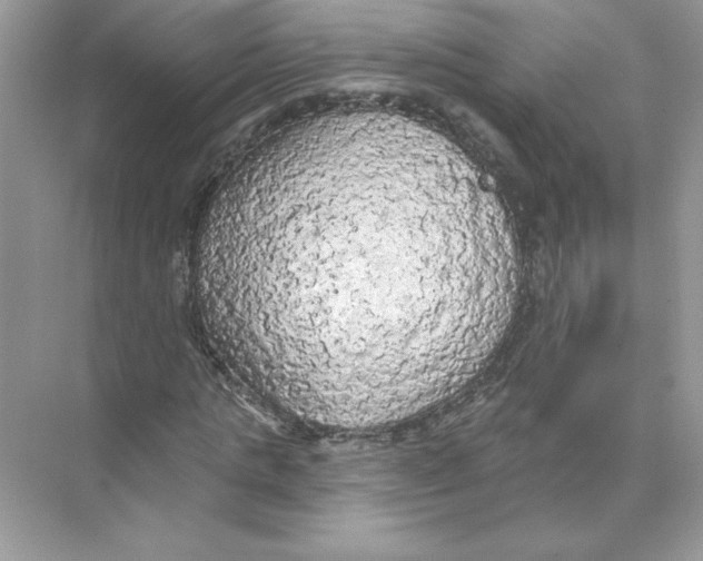 X0000074300821200609222332