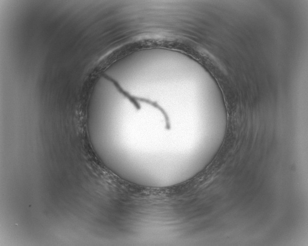 X0000074300822200609222332