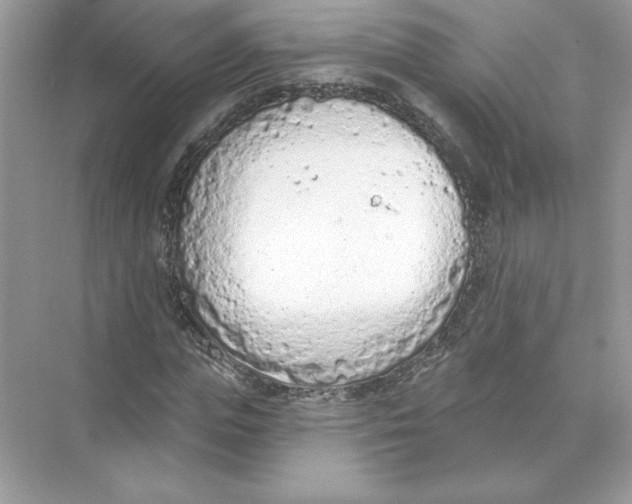 X0000074300823200609222332