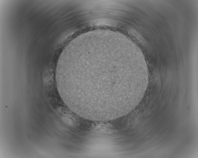 X0000074300824200609222332