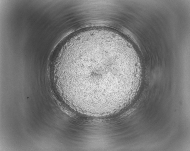 X0000074300827200609222332