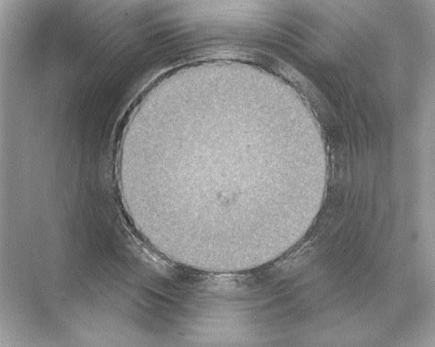 X0000074300828200609222332