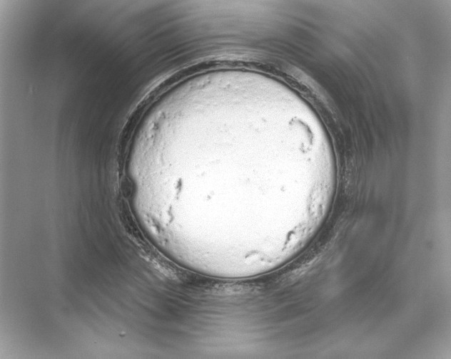 X0000074300829200609222332