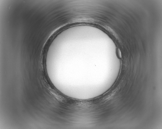 X0000074300830200609222332