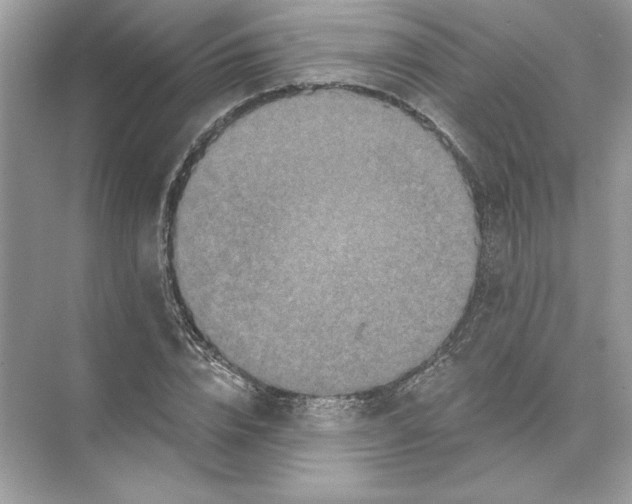 X0000074300832200609222333