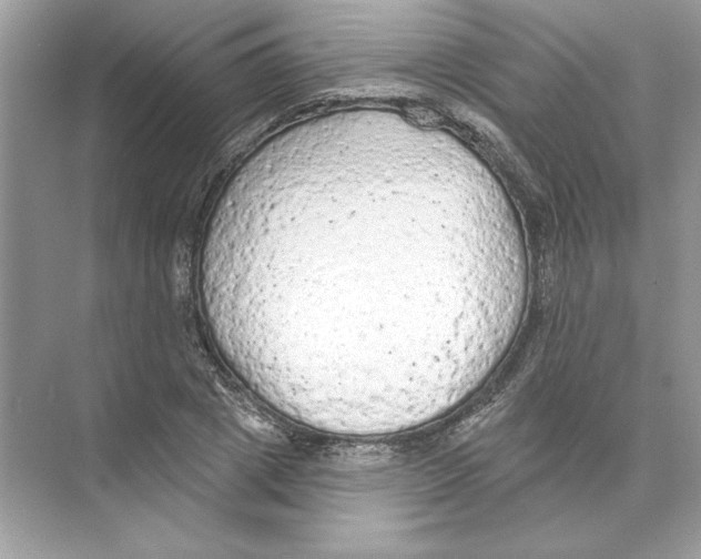 X0000074300833200609222333