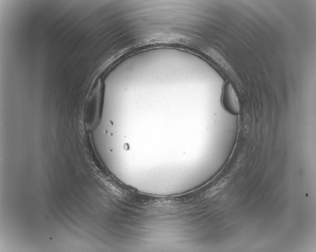 X0000074300834200609222333