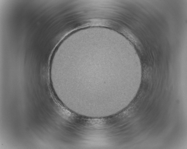 X0000074300836200609222333