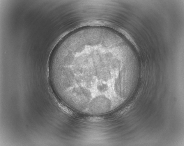 X0000074300837200609222333