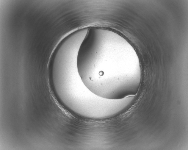 X0000074300838200609222333