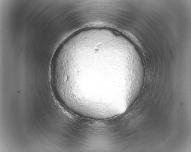 X0000074300839200609222333