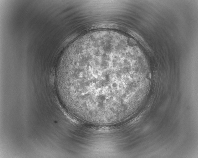 X0000074300841200609222333