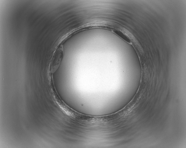 X0000074300842200609222333