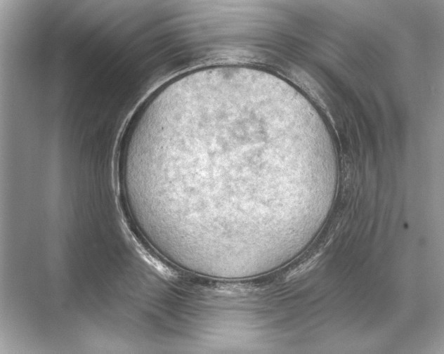 X0000074300843200609222333