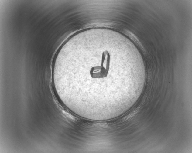 X0000074300844200609222333