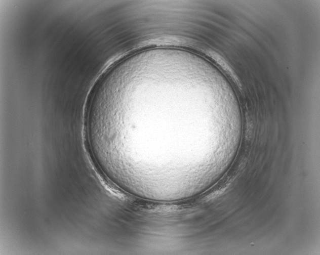 X0000074300845200609222333