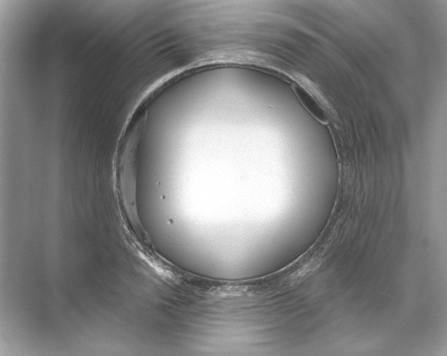 X0000074300846200609222333