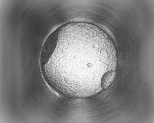 X0000074300847200609222333