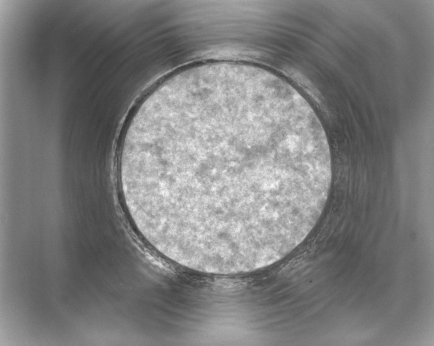 X0000074300848200609222333