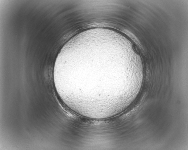 X0000074300849200609222333