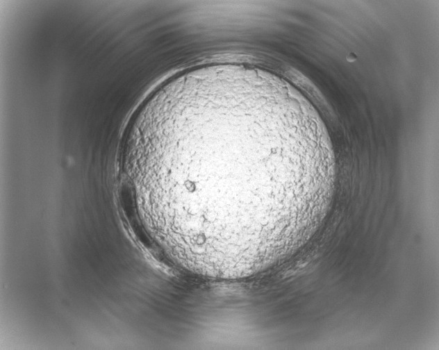 X0000074300852200609222333