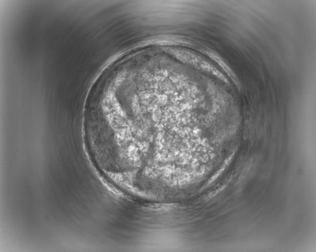 X0000074300853200609222333