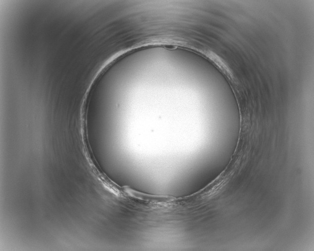 X0000074300854200609222333