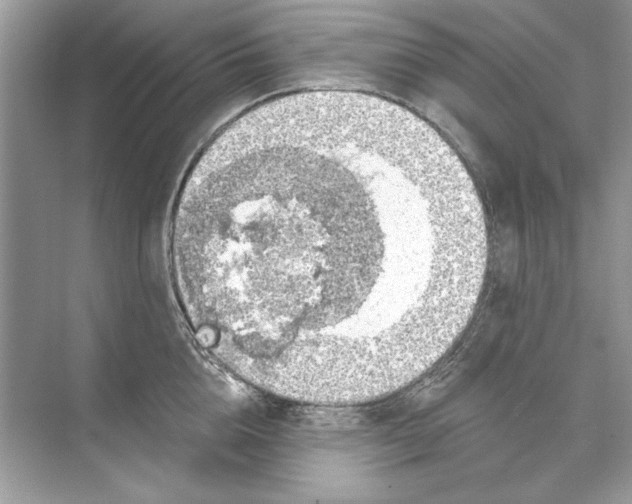 X0000074300856200609222333